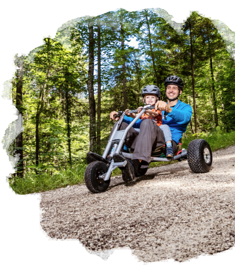 Mountain Carts - Wissenswertes